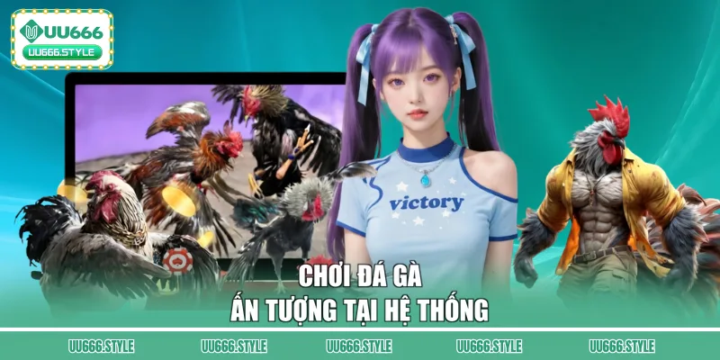 Chơi đá gà ấn tượng tại hệ thống