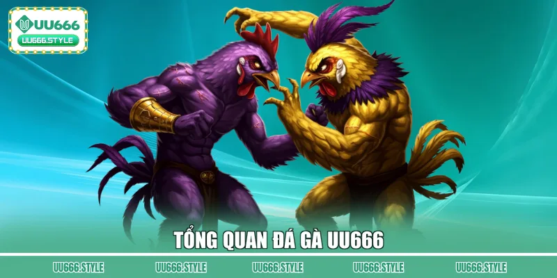 Tổng quan đá gà UU666